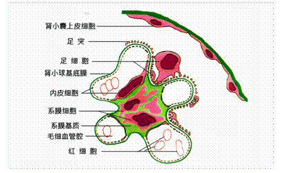 澳门新葡平台网址8883